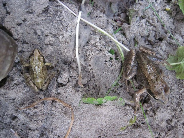 Groepsweekend 2011