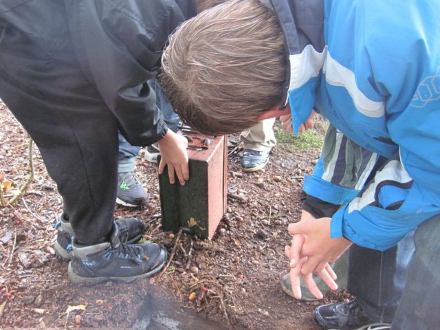 Verzameling 2011