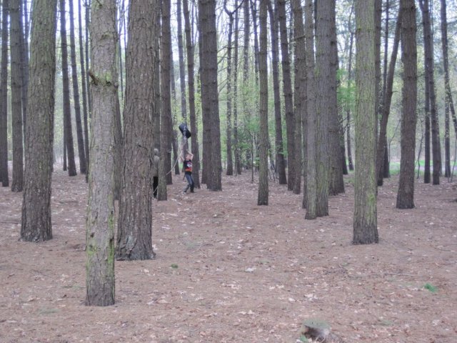 Voorjaarsweekend verkenners