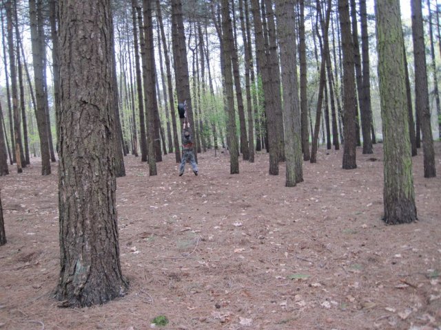 Voorjaarsweekend verkenners