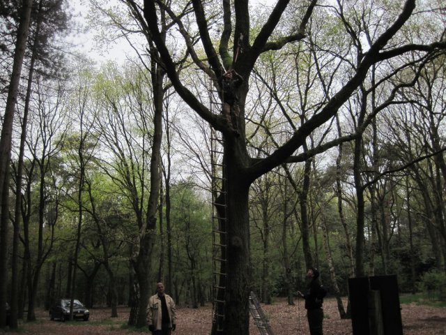 Voorjaarsweekend verkenners