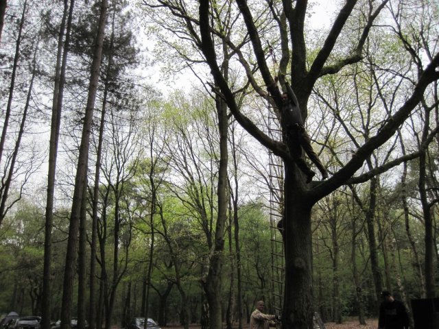 Voorjaarsweekend verkenners