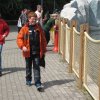 Scouting fundays 2012