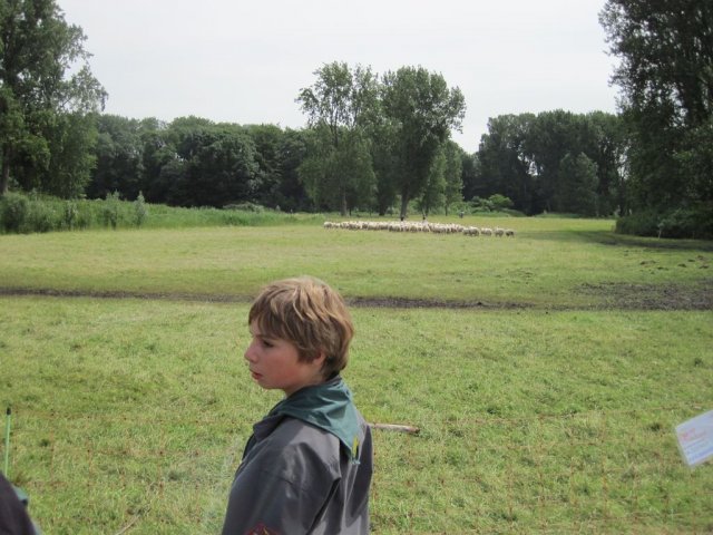 Zomerkamp 2012