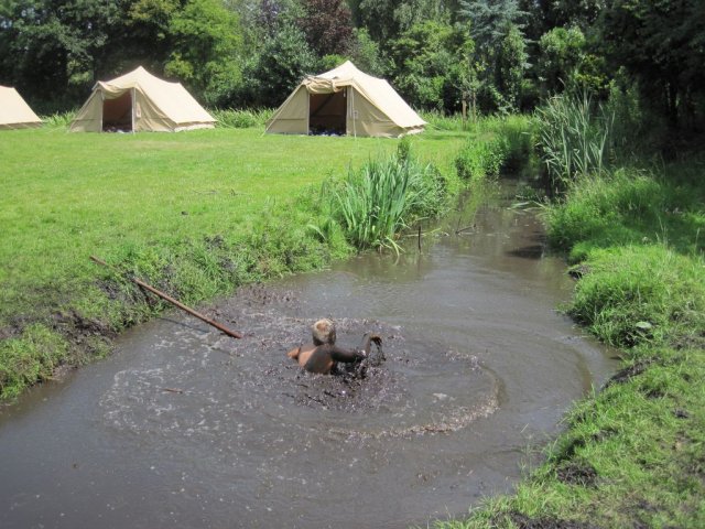 Zomerkamp 2012