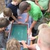 Zomerkamp 2012