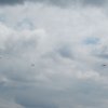 Airshow Seppe 2012