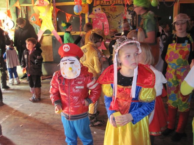 Carnavalsbal 2013