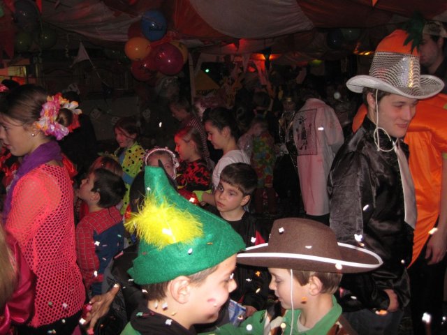 Carnavalsbal 2013
