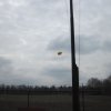 Luchtballonnen luchtverkenners 2013