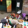 Vriendjesdag 2013