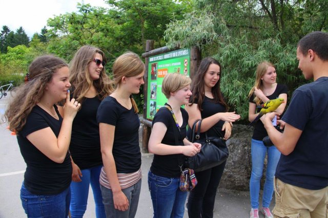 Zomerkamp 2013