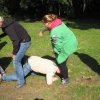 Groepsweekend 2013