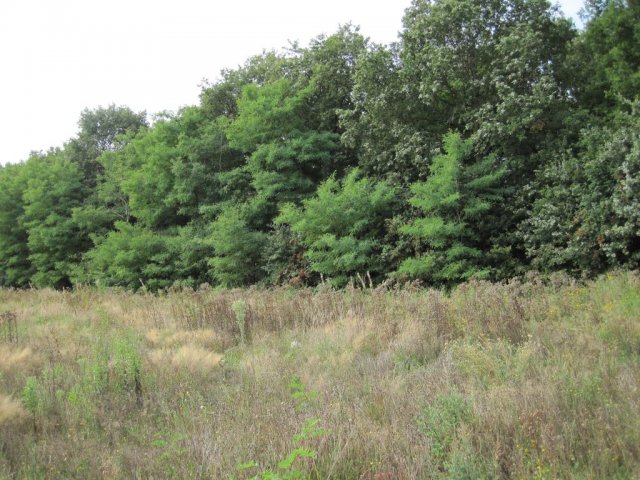 Kijkdag luchtverkenners 2013