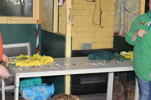 Welpen-installatie 2013