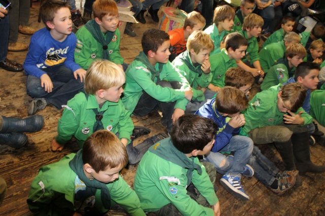 Welpen-installatie 2013
