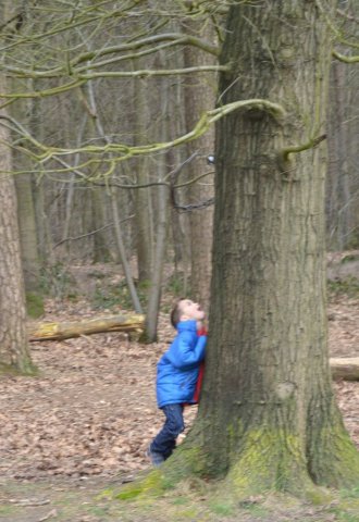 Bever installatie 2014
