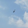 Luchtmachtdagen 2014