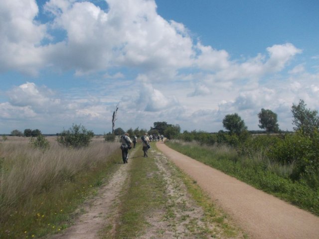 Zomerkamp 2014