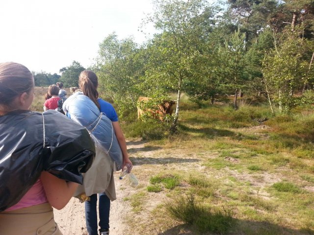 Zomerkamp 2014