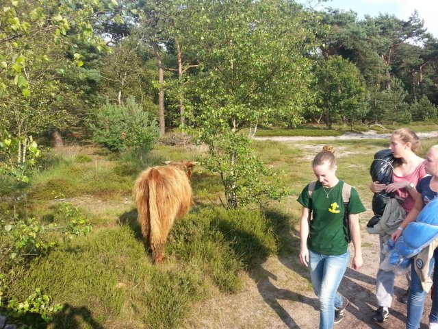 Zomerkamp 2014