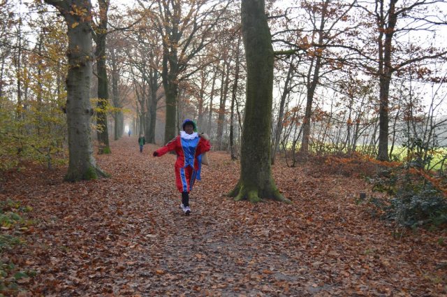 Sinterklaas 2014
