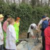 Carnavalsbal 2015