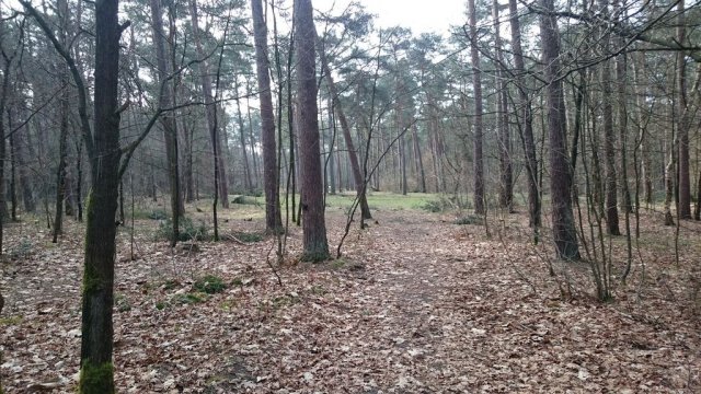 Ouder gidsenweekend 2015