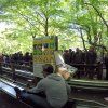 Fundays 2015
