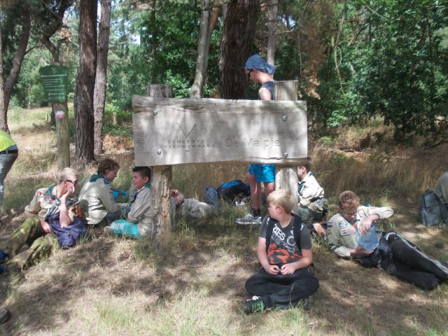 Zomerkamp 2015