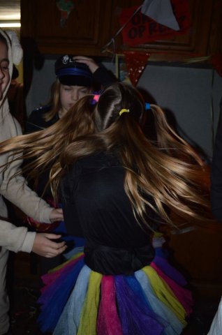 Carnavalsbal 2016