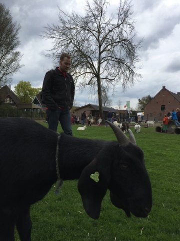kinderboerderij-01