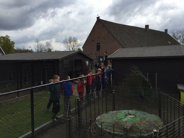 kinderboerderij-21