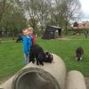 kinderboerderij-02