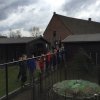 kinderboerderij-21