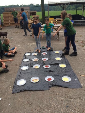 Voorjaar 2017