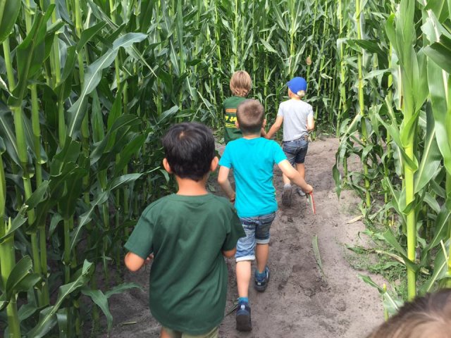 Zomerkamp 2017