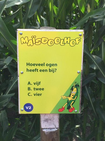 Zomerkamp 2017
