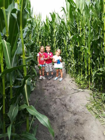 Zomerkamp 2017