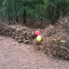 Zomerkamp 2017