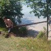 Zomerkamp 2017