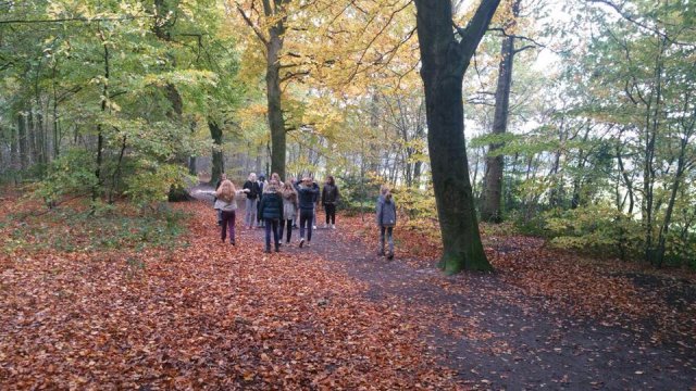 Herfst 2017
