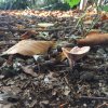 Herfst 2017