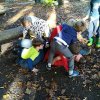 Herfst 2017