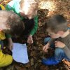 Herfst 2017