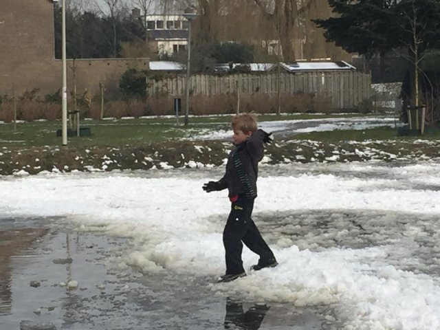 Voorjaar 2018