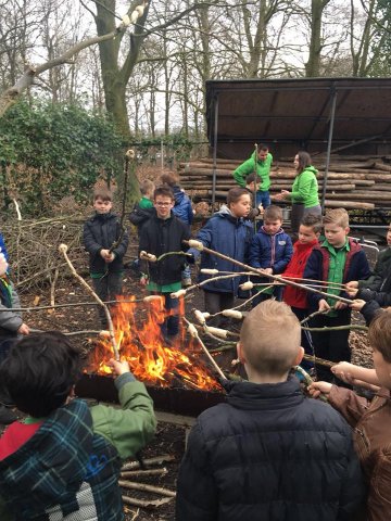 Voorjaar 2018