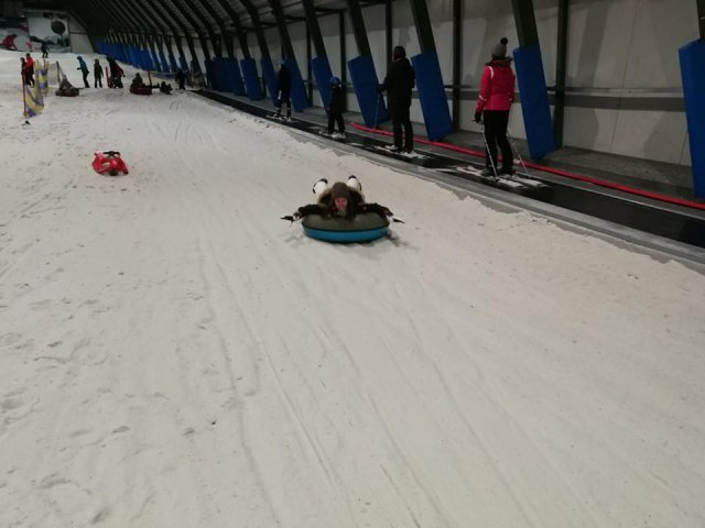 Voorjaar 2018