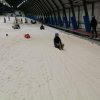Voorjaar 2018