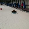 Voorjaar 2018